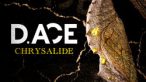 D.ACE - Chrysalide Mp3 Album Complet